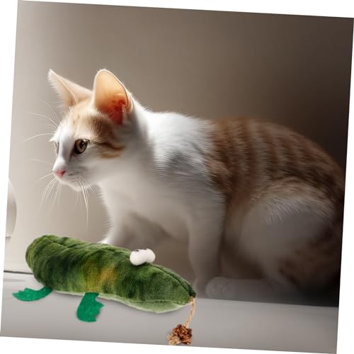 BESPORTBLE Brinquedo Para Gatos Brinquedo Para Gatinhos Brinquedo Para Gatos Brinquedo Engraçado Par