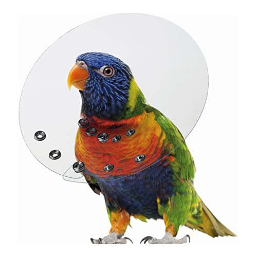 KVP Bird E-Collar, 2-2.75/6