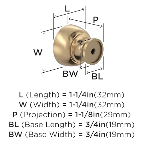 Amerock Chalice 1-1/4 inch (32mm) Diameter Champagne Bronze Cabinet Knob - 10 Pack by Amerock - Image 3