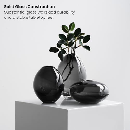 Torre & Tagus Hand Blown Clear Black Bud Vases Set of 3 - Small Decorative Smoke Gray Glass Bud Vases for Flowers As Wedding & Home Decor on Shelves, Tables and Bookshelf Styling (Mini Lustre) by Torre & Tagus - Image 6