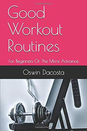 Good Workout Routines: For Beginners Or The More Advance (The Fit Journey)