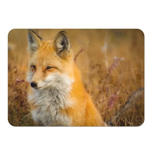 Sets de table renard anti rayure dessous liège - 2