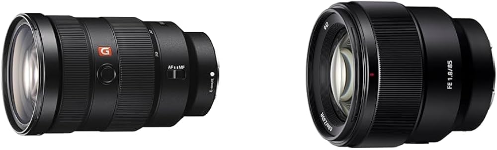 Sony E Mount FE 24-70mm F2.8 GM Full-Frame Lens (SEL2470GM