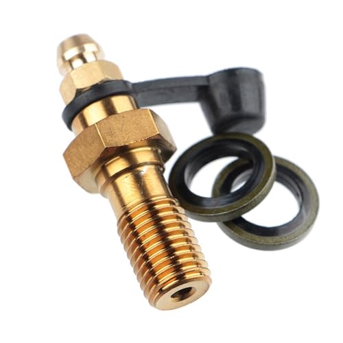 Vis de purge étrier de frein moto M8 1.25mm pour un freinage sûr