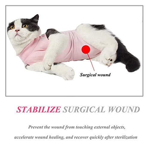 Coppthinktu Cat Recovery Suit For Abdominal Wounds Or Skin Diseases, Breathable E-Collar Alternative For Cats And Dogs, After Surgery Wear Anti Licking Wounds #TOP2