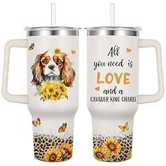 king charles cavalier