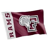 Desert Cactus Fordham University Banners 100% Polyester Indoor Outdoor 3x5 feet Flags (Team Name)