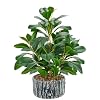 Der Rose Fake Plants Artificial Plants Indoor with Black and White Striped Pots for Room Home Bathroom Bedroom Kitchen Decor