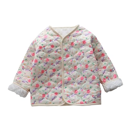 _EWPbg LbY ~ N Ci[_E j̎q ̎q h g q ȃWPbg ݂Ȃ  IV AE^[  xr[ OJ JWA ~ _炩G K  j ʉ ʊw  h(sN