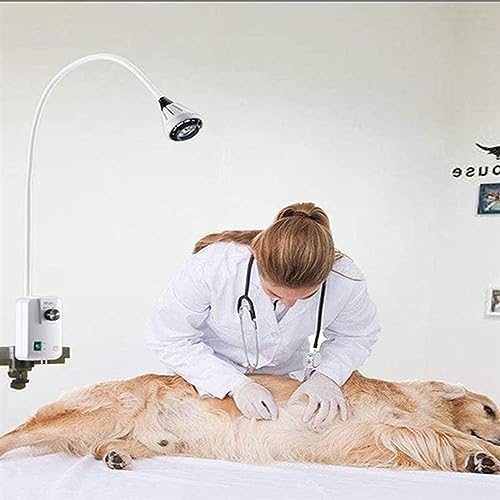 Lampe d'examen médical pour libérer l'espace de table de soin