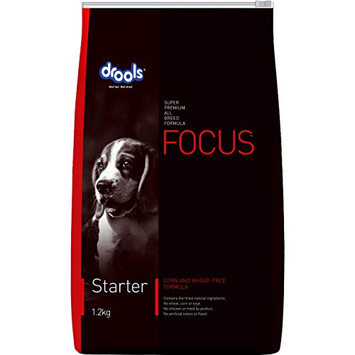 Drools Focus Starter Super Premium Dry Dog Food 1.2kg Pack | Chicken Flavour | Brain Development | Antioxidants like Vitamin E & C | Energy and Essential Nutrients