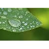 10x High Definition 2 Element Close-Up (Macro) Lens (62mm) Compatible with Canon EOS 7D