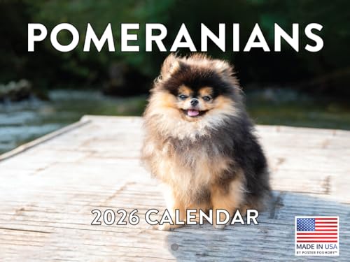 Pomeranian Puppy Calendar 2026 Wall 12 Month Monthly Puppies Pomeranians Gifts For Pomeranian Lovers Women Men Mom Dad | American Made In The USA