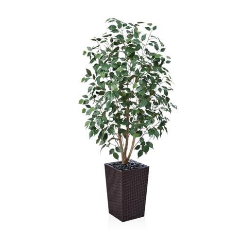 VeriNatural Ficus Künstlich 150cm - Kunstpflanze Groß mit Echtholzstamm