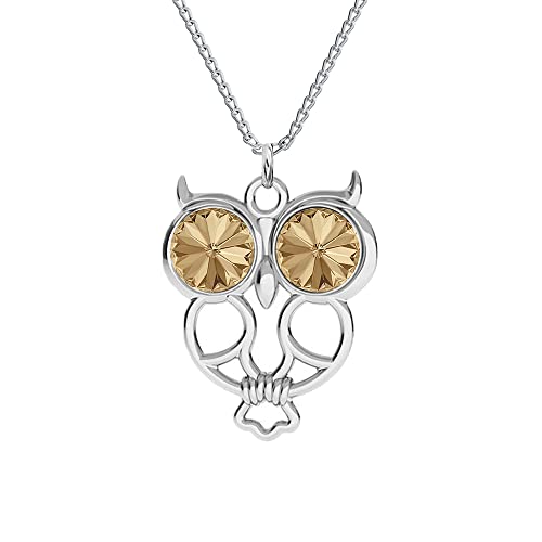 Bijoux femme en argent avec boite cadeau, le collier hibou idéal