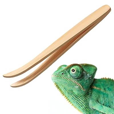 Nuenen Bamboo Feeding Tweezers Reptile Feeding Tongs 6.5 Inch Long Bamboo Tongs Feeding Tool Food Tweezers Feeding Grasping Tool for Iguanas Lizards Geckos Turtles PET Vivarium Accessories