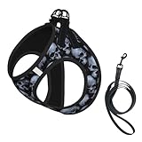 Xiso Ver Gothic Skull Print Dog Harness and Leash Set No Pull Reflective Adjustable Step-in Puppy Pet Vest Harnesses for Small Medium Dogs and Cats