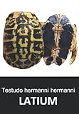tartaruga hermanni hermanni in regalo  Testudo hermanni hermanni LATIUM