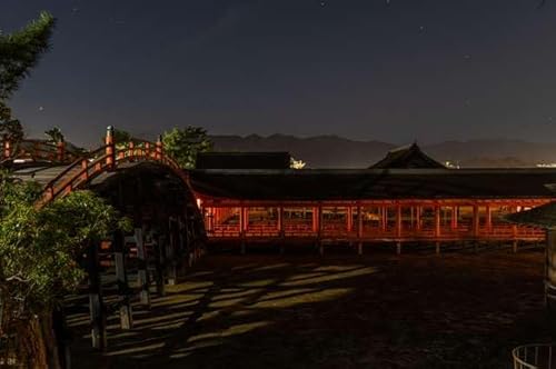 y{̕i|XgJ[hzLss{ |\ i{j̖P ͂ tHgJ[hyY photo by daikegoro