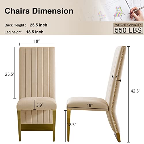 Auz Dining Chairs With Nail Head Trim, Modern Velvet Upholstered Dining Room Chairs In Lovely Color With Polished Gold Stainless Steel Legs, Set Of 2 #TOP1