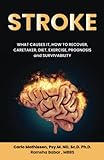 STROKE: WHAT CAUSES IT, HOW TO RECOVER, CARETAKER, DIET, EXERCISE, PROGNOSIS and SURVIVABILITY