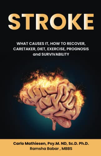 STROKE: WHAT CAUSES IT, HOW TO RECOVER, CARETAKER, DIET, EXERCISE, PROGNOSIS and SURVIVABILITY