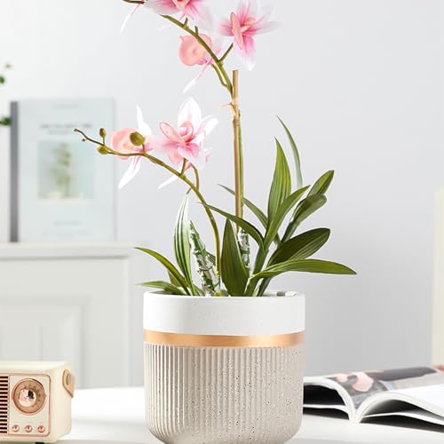 Pot de fleur en céramique minimaliste moderne pour salon et balcon - 5
