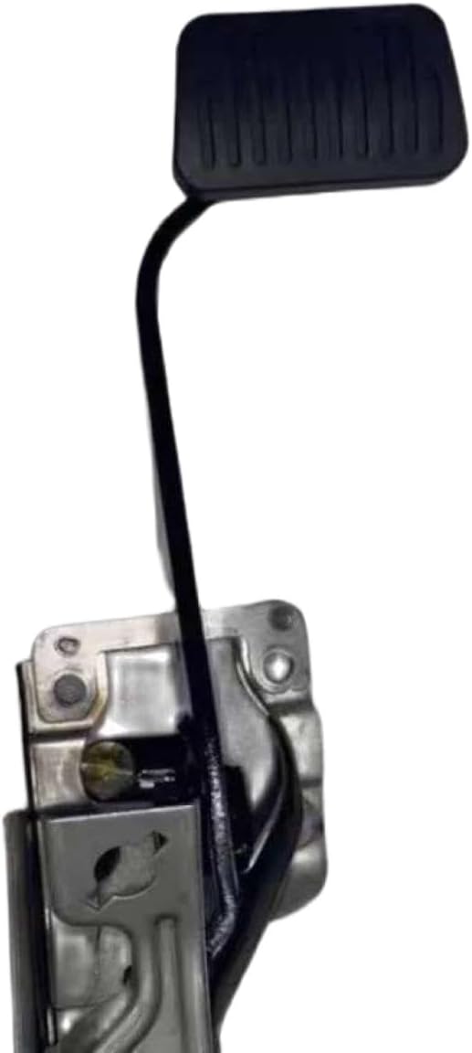 Brake Pedal Assembly with Switch and Clutch Pedal Skin for Dolphin Vehicles