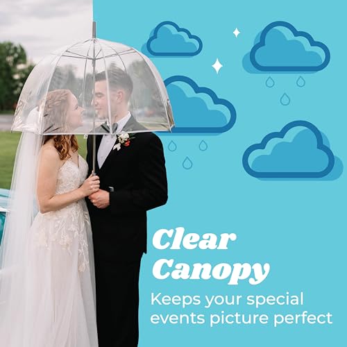 Totes Clear Bubble Umbrella With Dome Canopy - Lightweight Design for Wind and Rain Protection - Birds on a Wire Pattern - 51" Canopy for Adults by totes - Image 3