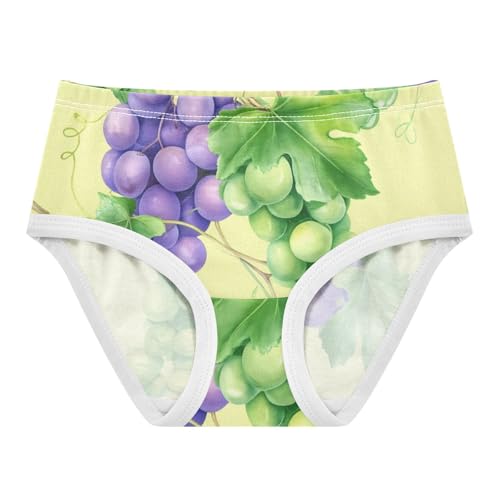 Cotton Girls Underwear Toddler Watercolor Purple Green Grapes Yellow Panties for Girl Designer Undies Kids Briefs 2t
