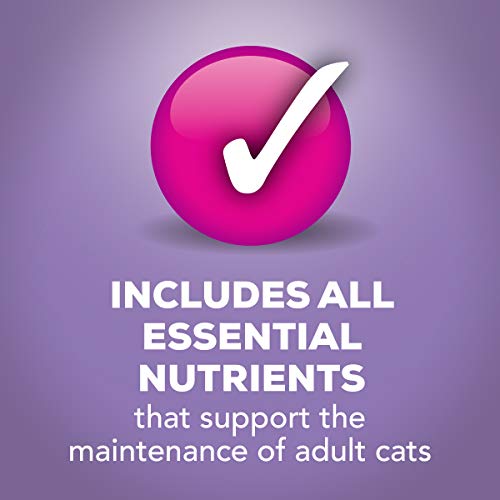 Purina Friskies Indoor Gravy Wet Cat Food, Indoor Homestyle Turkey Dinner In Gravy - (24) 5.5 Oz. Cans #TOP5