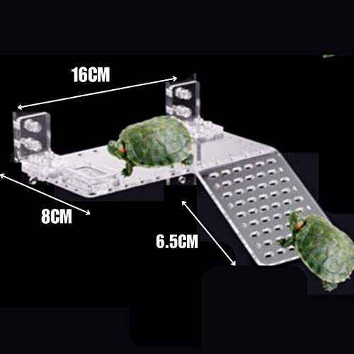 Image of VAYINATO Single Way Acrylic Turtle and Reptile Ramp Basking Area Floating Platform for Aquarium Fish Tank Turtle Tank by Petzlifeworld