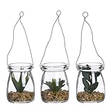  Vidal Regalos Cactus en Frasco de Cristal para Colgar x3 Modelos 7 cm