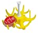 Produktbild Küchenprofi 1009250002 Ei-Halter inklusive Eier-Uhr Egg-Perfect