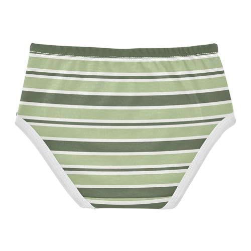 Green Stripe Toddler Girls's Underwear 2T 23008682