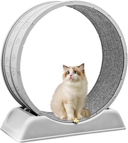 キャットホイール 猫 キャットホイール 静音 猫 運動 大型静音キャットランニングマシン 犬用フィットネス機器 多機能キャットタワーおもちゃ キャットホイール ペット用品(グレー)