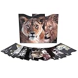 MATANA 12 RFID-Schutzhüllen, NFC-Blocker Kartenhüllen für Kreditkarten, Bankkarten, EC-Karten & Reisepässe - Katzen der Welt