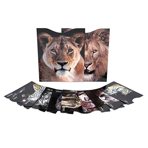 12- Protectores de Bloqueo para Prevenir RFID – Fundas para Tarjeta de Crédito, Débito y Tarjeta de Identificación – Protector de Pasaporte - Ideal para Billetera – Bellos Diseños de Gatos