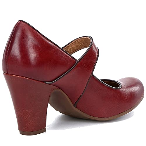 Image of SHODENSE Women Vintage Chunky High Heel Mary Jane Shoes Round Closed Toe Ankle Strap Dress Sandals 3 inch Block Heels Mary Jane Lolita Pumps Two-Toned Patchwork Buckle Office Lady Wedding Retro 4-11 M US