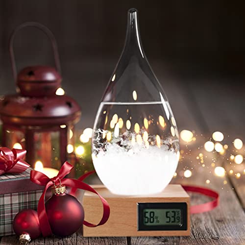 Valentines Day Gift for Man Girl Boy Snow Globe Present Storm Glass Weather Predictor Weather Stations Water Globe Bottle Home Decoration Weather Forecaster Tabletop Decor Desktop Ornament