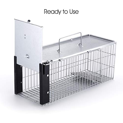 Faicuk Heavy Duty Squirrel Trap Chipmunk Trap and Other Similar-Size Rodents - Thumbnail 7