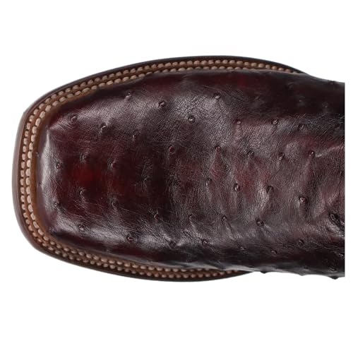 Dan Post Black Cherry/Black Cherry Alamosa 11 inch Shaft Men's Broad Square Toe Full Quill Ostrich Boots DP50124
