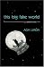 This Big Fake World: A Story in Verse (Pearl Poetry Prize Series)