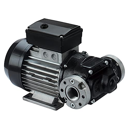 PIUSI Flügelzellenpumpe für Dieselumfüllung, Einfach zu Bedienen, Langlebig, Fördermenge 100 l/min, Stromversorgung 230V/50Hz, 1 BSP Anschlüsse | E120 000326000
