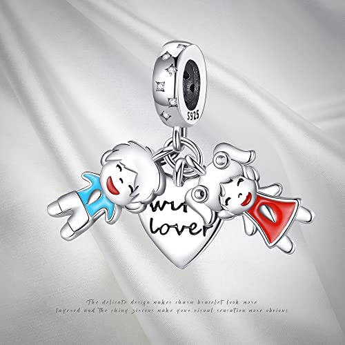 Pandach 925 Sterling Silver Dangle Charm Clear Cz Charms Fit Charms Bracelet Snake Chain And Necklace For Women And Girl #TOP5