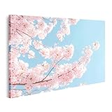 islandburner Bild auf Leinwand Rosa Kirschblüten vor blauem Himmel für Schlafzimmer Romantiker Teegeschäft Bilder Wandbilder Poster