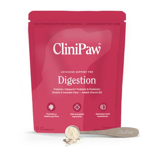 How to make your dog's poop firm