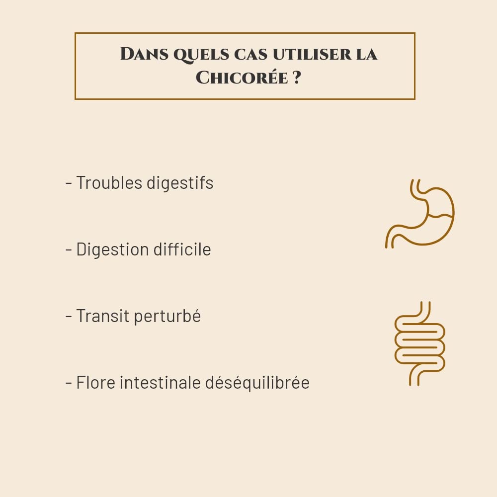 CHICORÉE - Complément nutritionnel Cheval - Seau 1 kg - Digestion Cheval - Equilibre de la Flore intestinale - Marque Française
