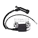 Fuerdi 188F Ignition Coil for Honda Gx240 Gx270 Gx340 Gx390 8hp 9hp 11hp 13hp Engine Generator