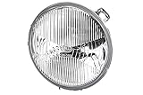  Scheinwerfer Einsatz für 1368861 1368861-00 1373505 BMW E30 1985-1987